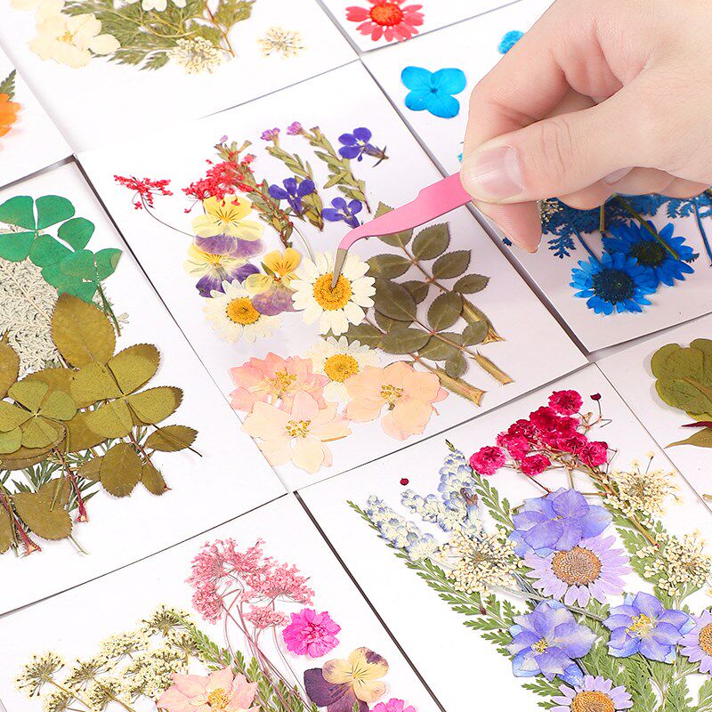 速发生童手工干花永儿儿假花花自制团扇贴画材料包幼花园