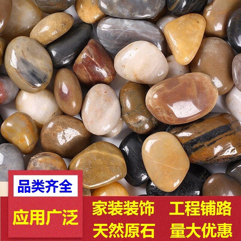 速发石子雨花石黑白石头鹅软石彩色花园大小造景公园路鹅卵石铺地