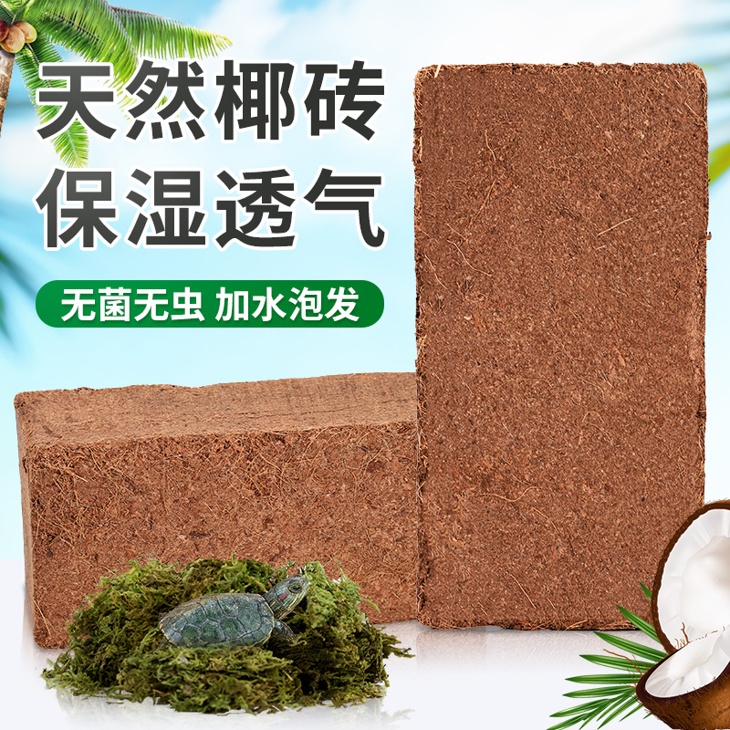 速发椰砖中华草龟小乌龟水龟金线龟活物龟墨龟草龟苗通用椰土