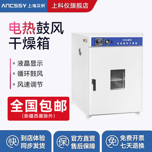 艾析实验室干燥箱高温烘箱工业烤箱电热恒温鼓风烘干机小型烤客厅
