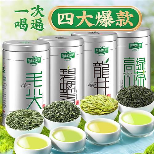 乐品乐茶明前新茶特级浓香型日照高山云雾绿茶毛尖茶叶250g