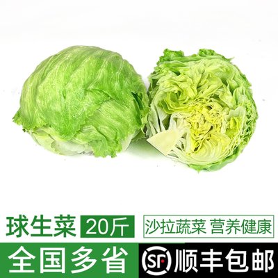 新鲜球生菜20斤 汉堡火锅用圆形西生菜新鲜蔬菜西餐轻食沙拉食材