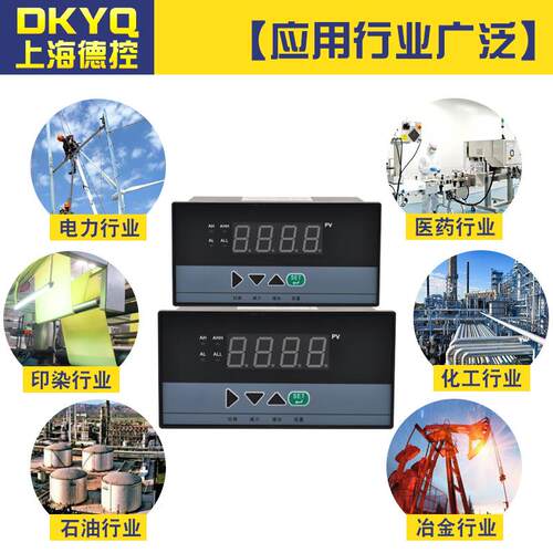 智能单回路数显229510测控万能分度号4-2m表A输出485仪数字显示控