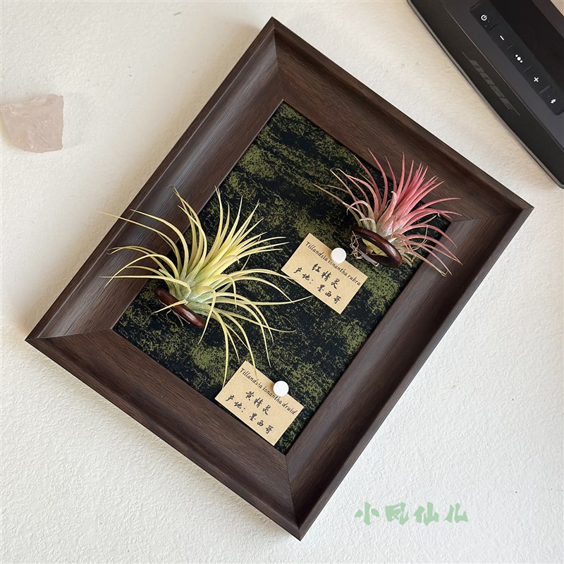 ins空气凤梨套餐磁n吸装饰画框复古桌面室内墙上深棕色相框8寸送