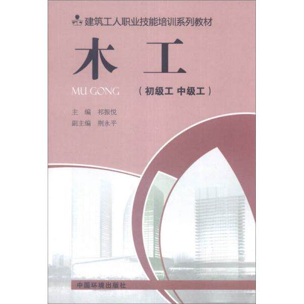 【正版包邮】 建筑工人职业技能培训系列教材：木工 祁振悦、荆永平  编 中国环境出版社