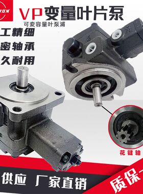 叶片泵液压站泵头VP-20-FA3叶片液压油泵总成VP-30/40-FA配件大全