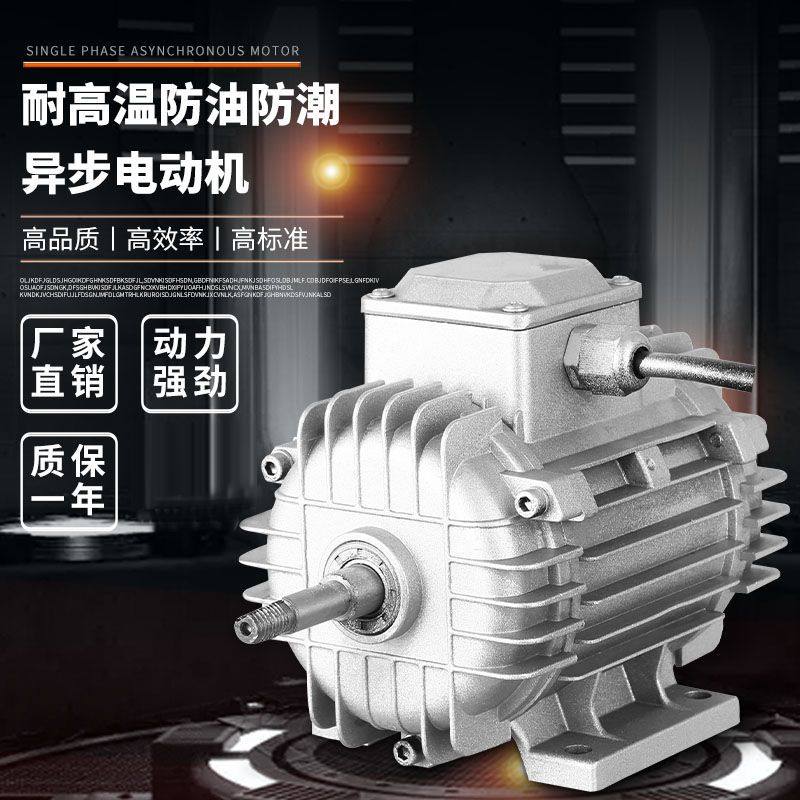 CSF耐高温防油防潮电机.