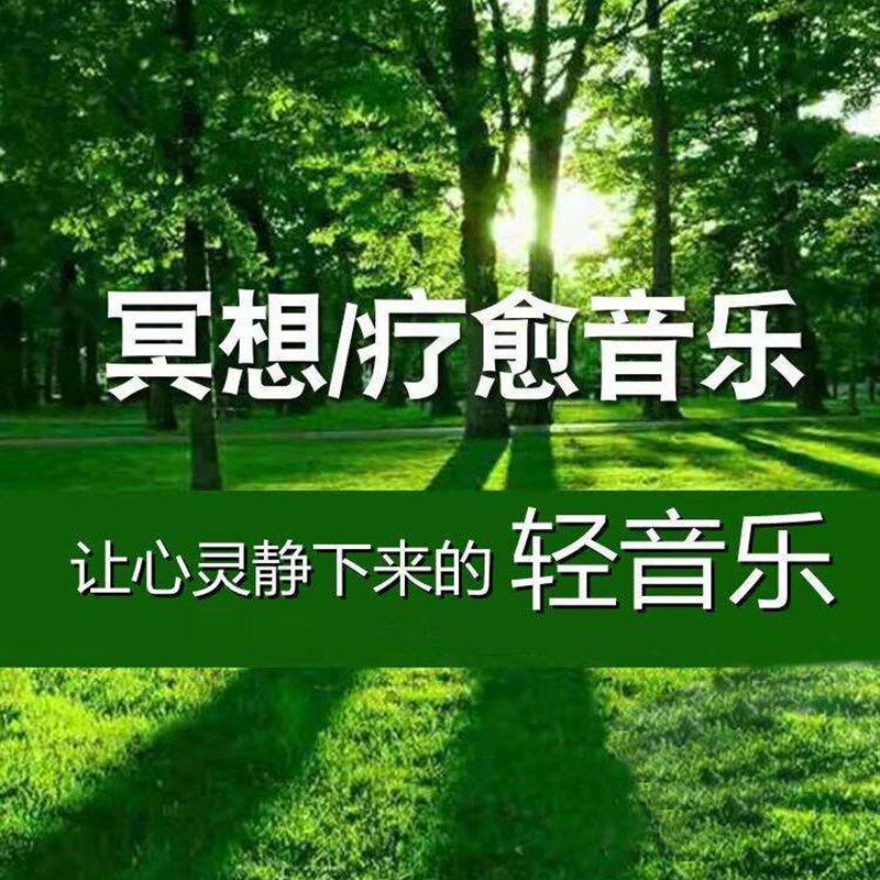 速发流行轻音乐汽车载歌曲古筝萨克斯钢琴曲纯音乐电子琴车载
