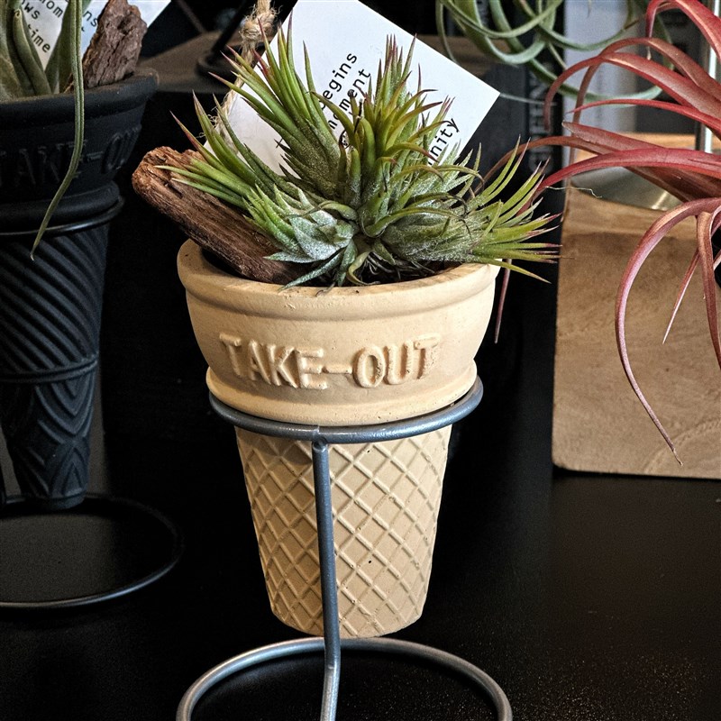 无土盆栽植物空气凤梨支架高级感办公室客厅斗柜R绿植装饰桌面摆