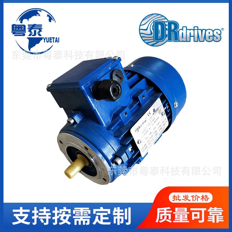 DRdrives电机0.18 0.37 0.55 0.75 1.1 1.5 2.2 3 4 5.5KW 摩多利