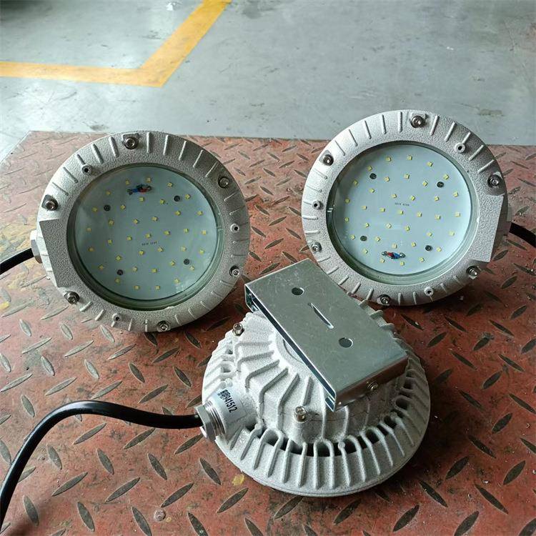 15w吸顶防爆灯led免维护爆吸顶灯楼道照明灯声控灯圆形ccd96-防护