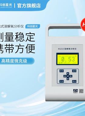 便携式溶解氧分析仪XG213高精度微克级实验室水质分析仪