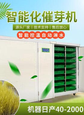 芽苗菜发芽机催芽机 商用智能化芽苗机 豌豆苗萝卜苗种子催芽机