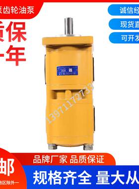 合肥长源液压双联齿轮油泵CBQL-F550/F520-CFH/L液压泵高压动力泵