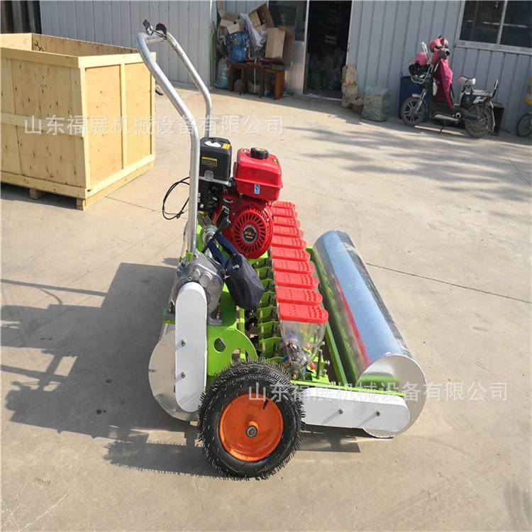 汽油谷物播种机 免间苗蔬菜播种机 小香芹播种机,农机/农具/农膜,播种栽苗器/地膜机,淘宝优惠券,粉丝福利购,淘宝优惠卷