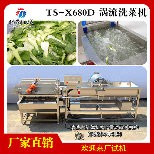 大型涡流洗菜机 涡流清洗振动沥水清洗机 瓜果水果循环翻转洗菜机