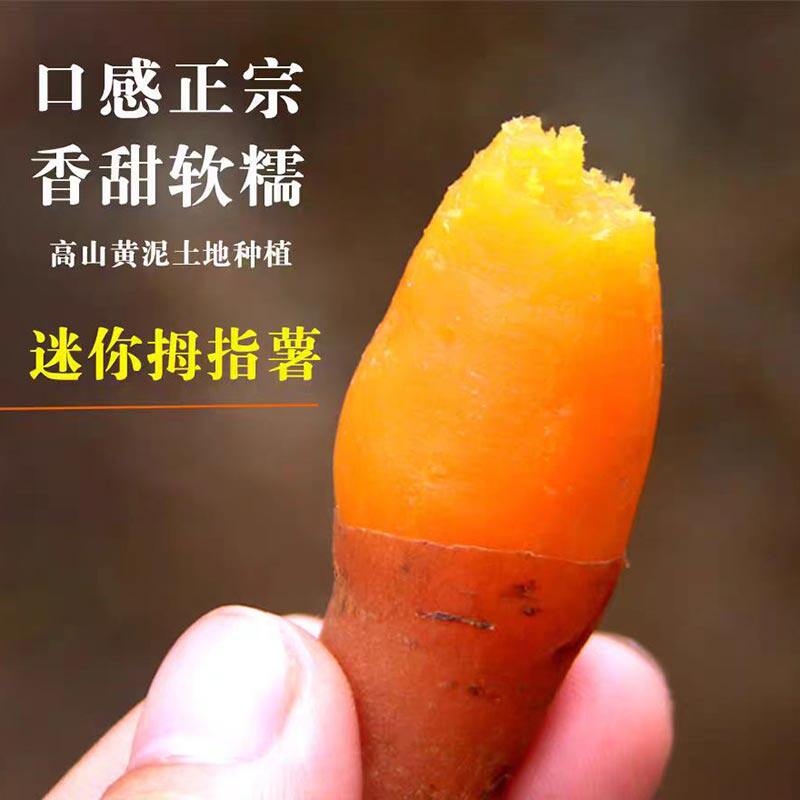 正宗贵州紫云红心红薯新鲜农家自种板栗小香薯烤番薯糖芯密薯地瓜