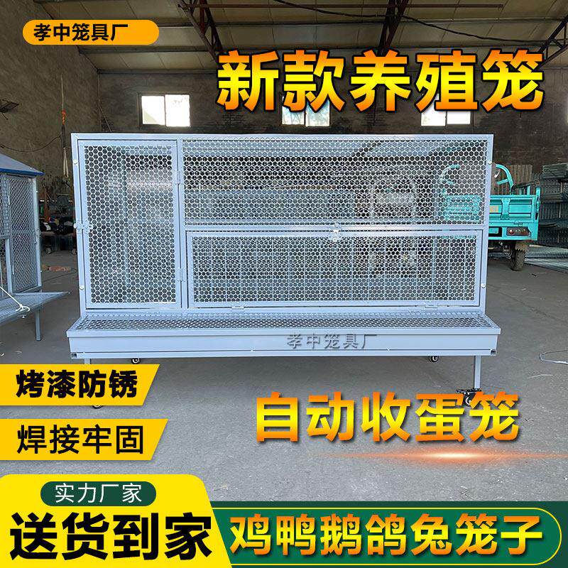 养子笼防雨自动蛋收鸡鸭鹅鸽兔加密笼具烤漆防锈养殖养殖笼铁鸡笼