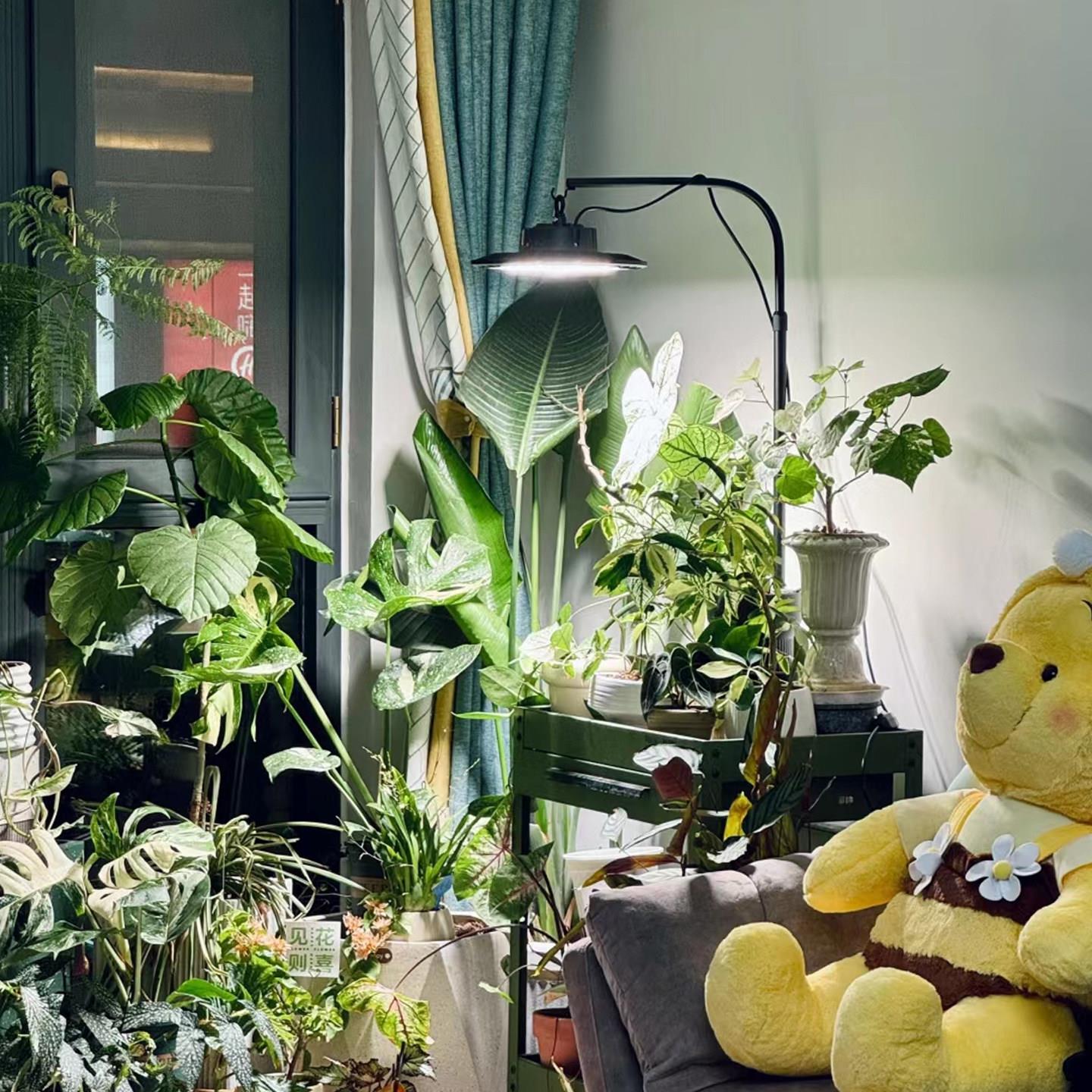 联天螺LXB下植物补光灯落地灯架多头光软管设计三脚架E7口挂钩2支