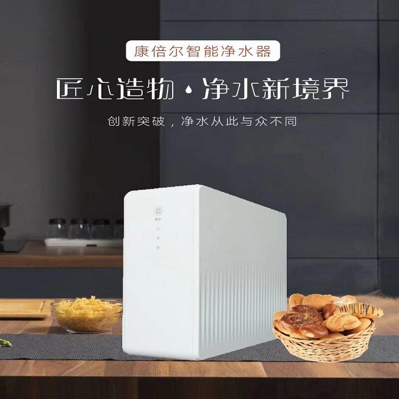 净2大流量2-4000G卡接无桶202卡接4ro滤水机直饮过滤自来水反渗水