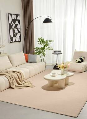 纯羊抑菌地毯加厚毛客厅卧室茶几床边满lqs00324铺定制大梨面积色