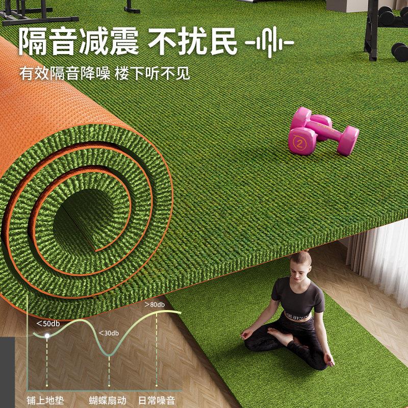 雪车地垫加健身房隔音毯大面积地家用厚橇跑步机运动20260730楼层