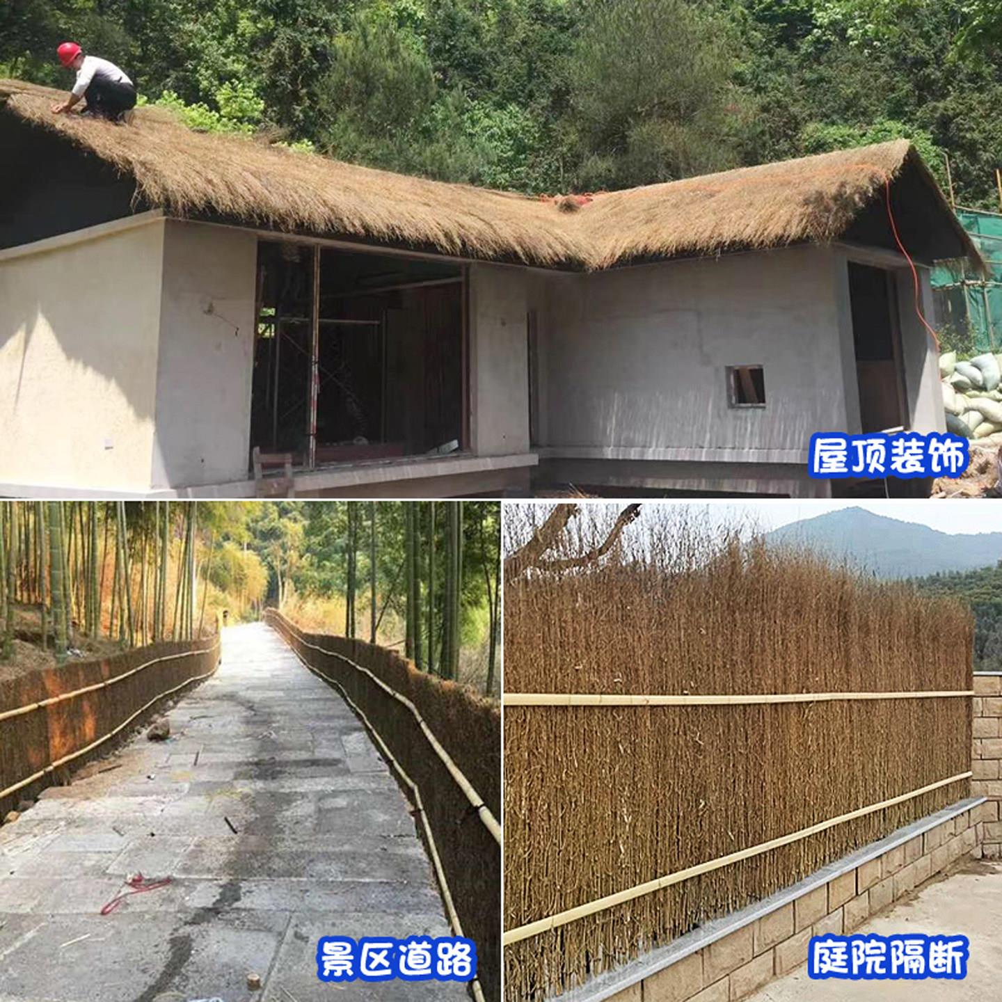 笆竹ELX枝屋顶装饰庭院子围栏竹稍丝栅栏户外篱竹房民宿细竹枝条