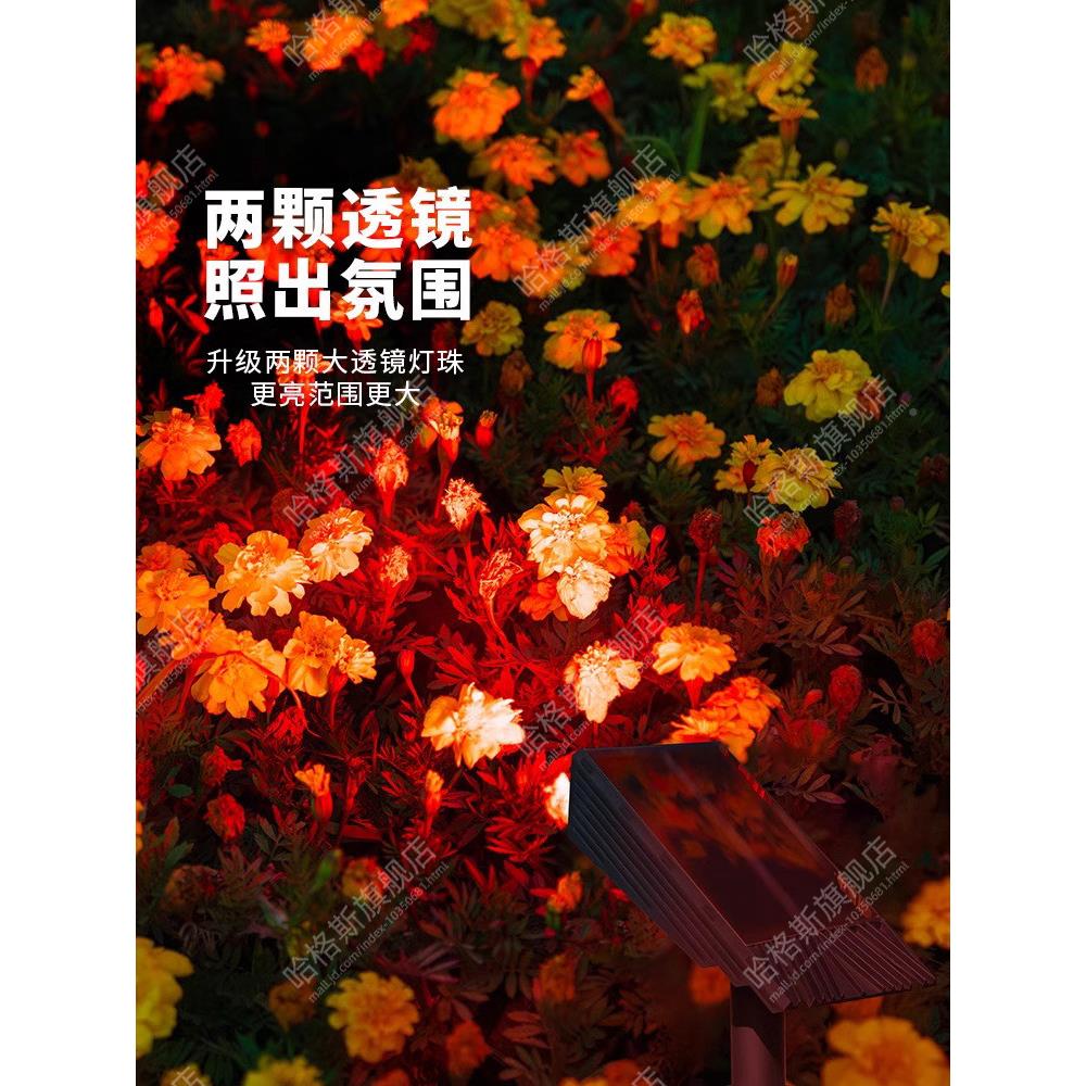 太阳能照露树灯户外防水射景灯台花园置观庭院灯地插布草坪HGS-12