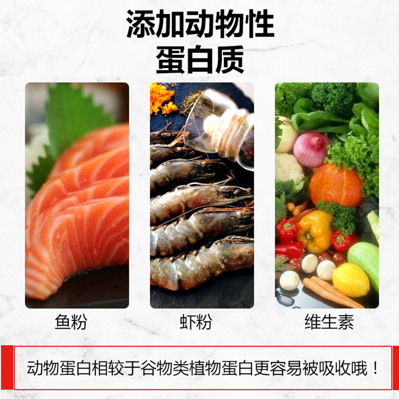 速发火焰龟色黄缘火焰东西锦金钱龟剃刀红面蛋龟增红食粮龟粮