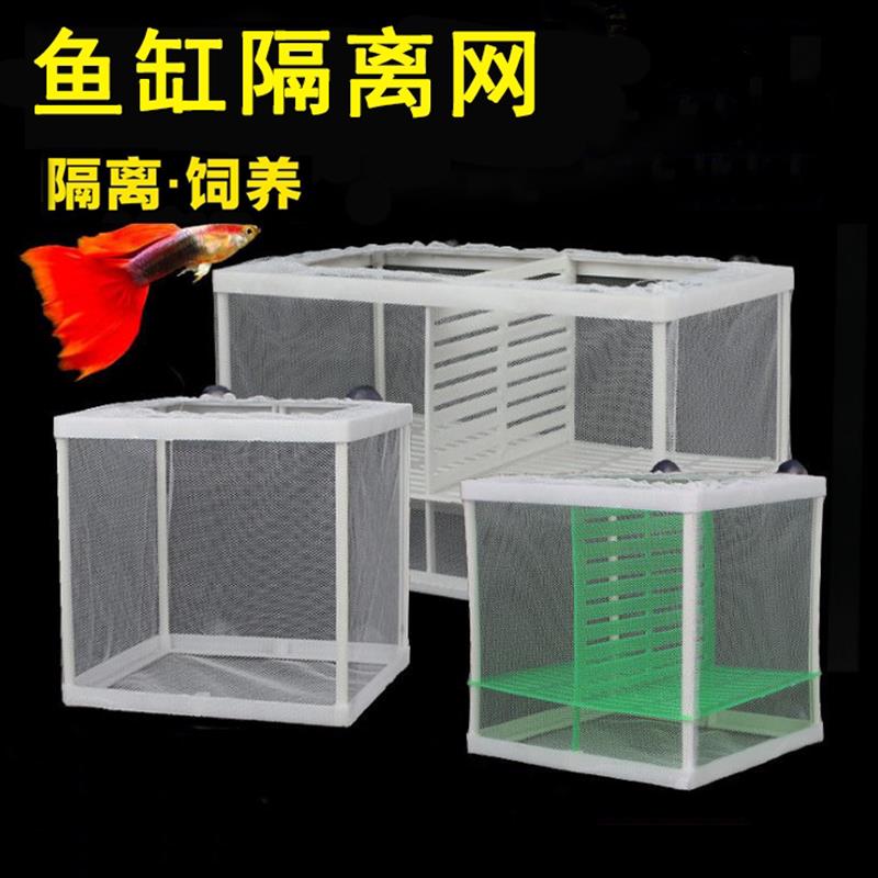 速发鱼缸隔离孔水族箱鱼离器隔离盒网孵化器网雀隔迷你鹦鹉繁殖箱