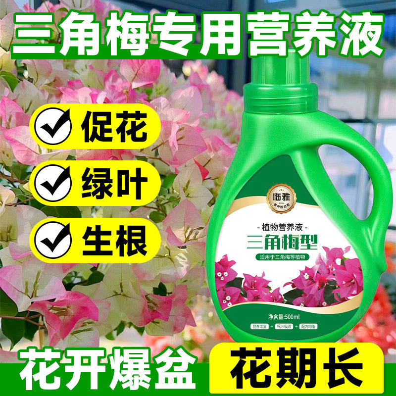 速发三角型专用营养液植物通用梅开花专用肥促花绿叶室内花卉肥栽