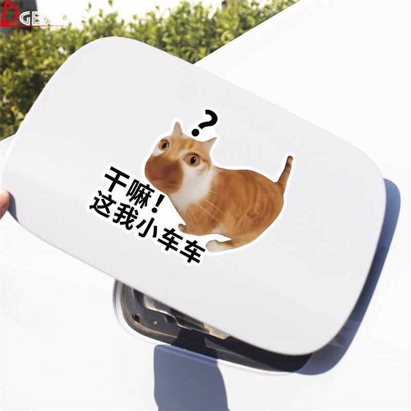 速发干嘛这我小车车哈基米车贴创意汽车划痕遮挡电动车摩托车猫咪