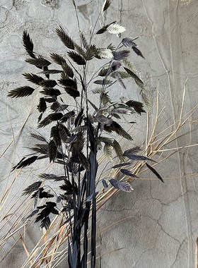 速发永生小盼草干花花束真花铺风干居草家店装饰风吹草动