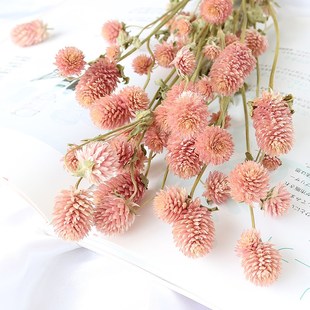 裝 飾插花 飾搭配手工花盒 速發(fā)級千日紅草莓果永生花干花配材裝