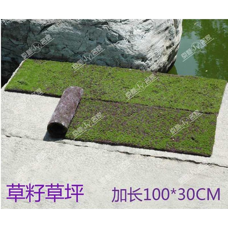 速发草皮假山植物背景墙苔藓草坪植盆景人造假山毛石墙石青苔装饰