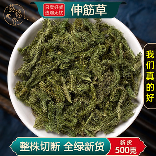 野生伸筋草中药材正品官方旗舰店石松小伸筋舒筋草泡脚另售透骨草