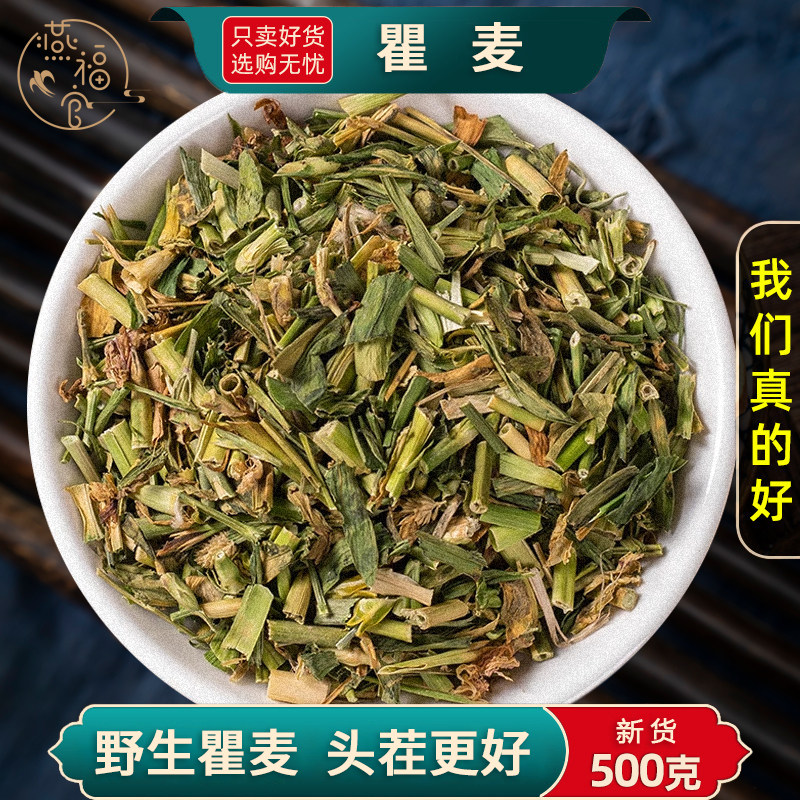 野生瞿麦中药材正品官方旗舰店瞿麦新货石竹子花巨麦曲麦翟麦草药