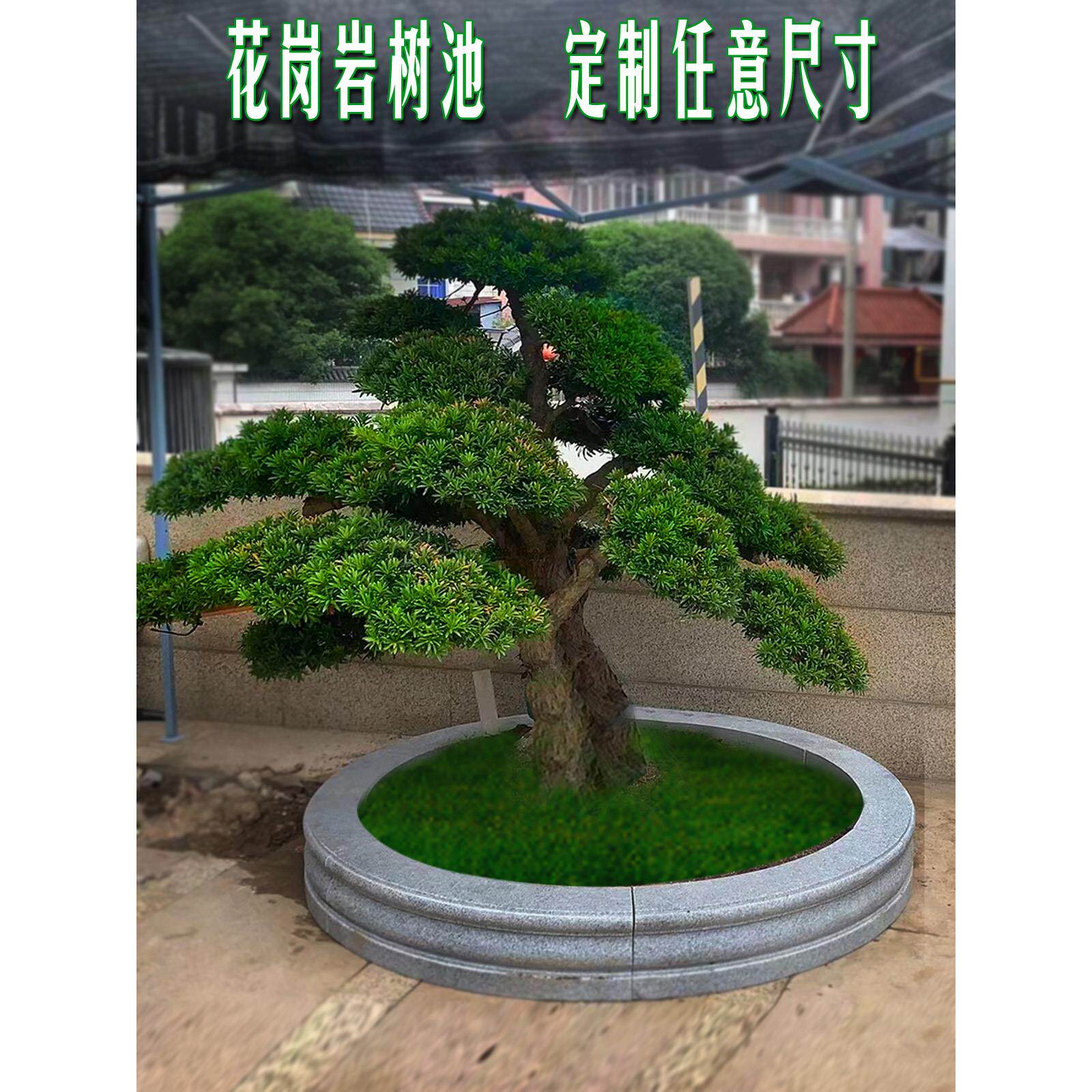石雕圆形树池树坑石家用庭院园林大理石异型花坛树围石围栏石摆件