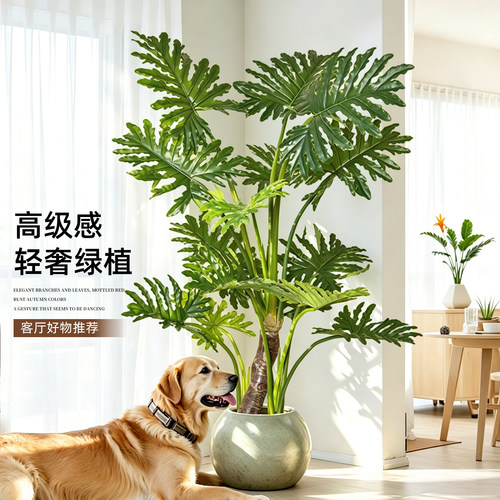 高端轻奢仿真春芋叶盆栽