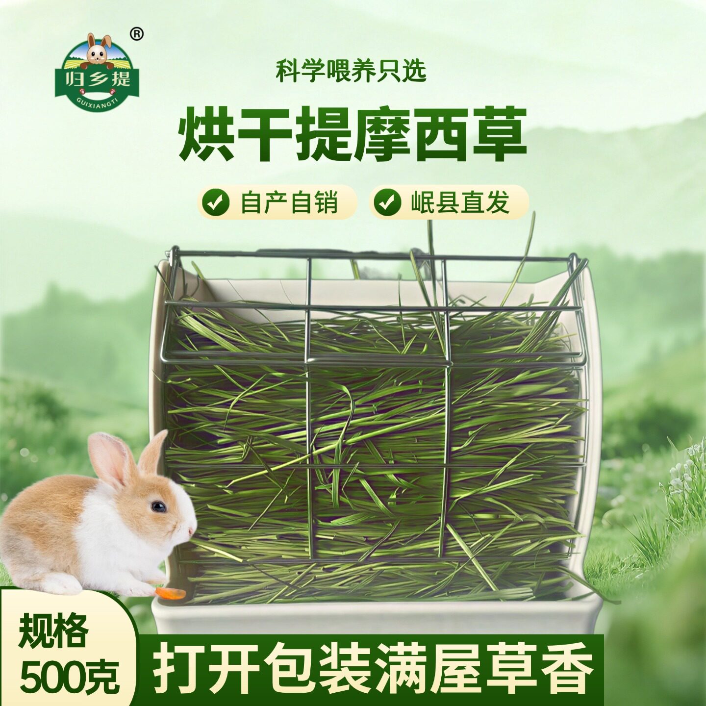 烘干提摩西草兔子专用岷县归乡提兔草干草提草羊驼饲料提莫西草
