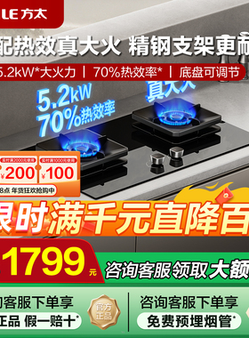方太TF29B/TF37B燃气灶煤气灶家用双灶台天然气炉液化气猛火灶具