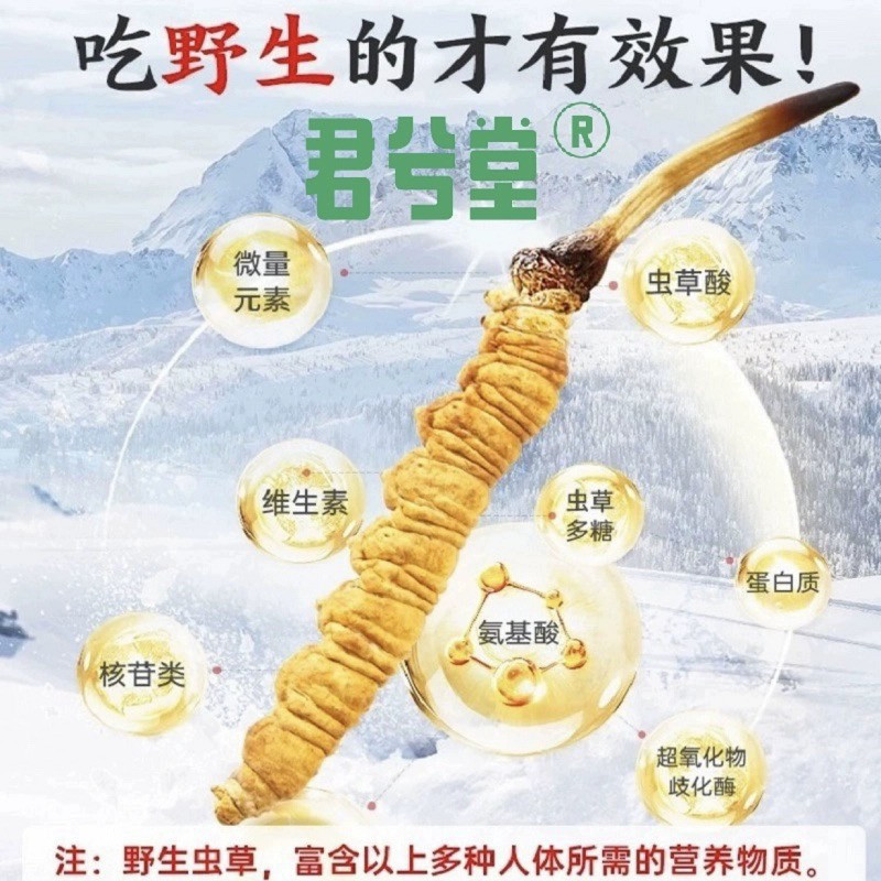 正品天然野生冬虫夏草产区甘孜阿坝高海拔非青海西藏那曲干虫草