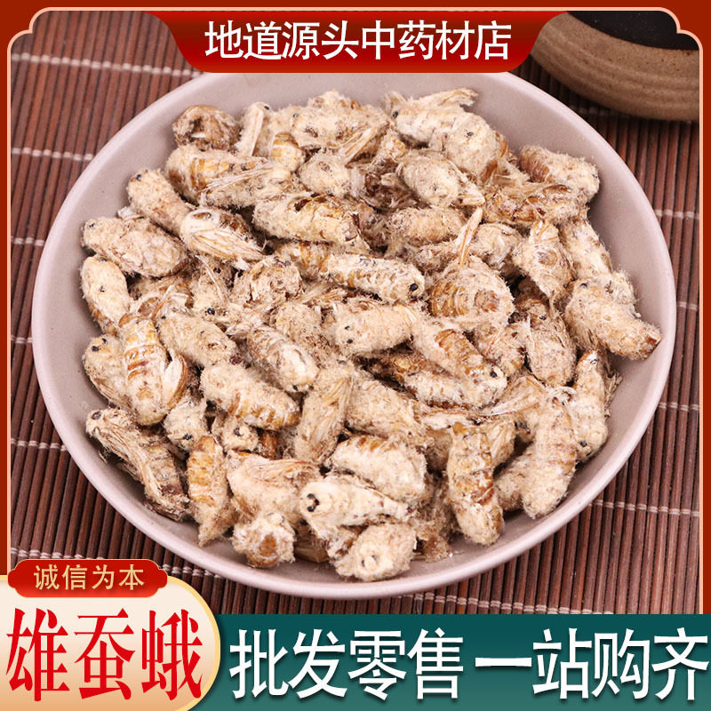 纯正中药材新货雄蚕蛾可打粉优泡酒雄蚕蛾500g批发中草药晚蚕蛾