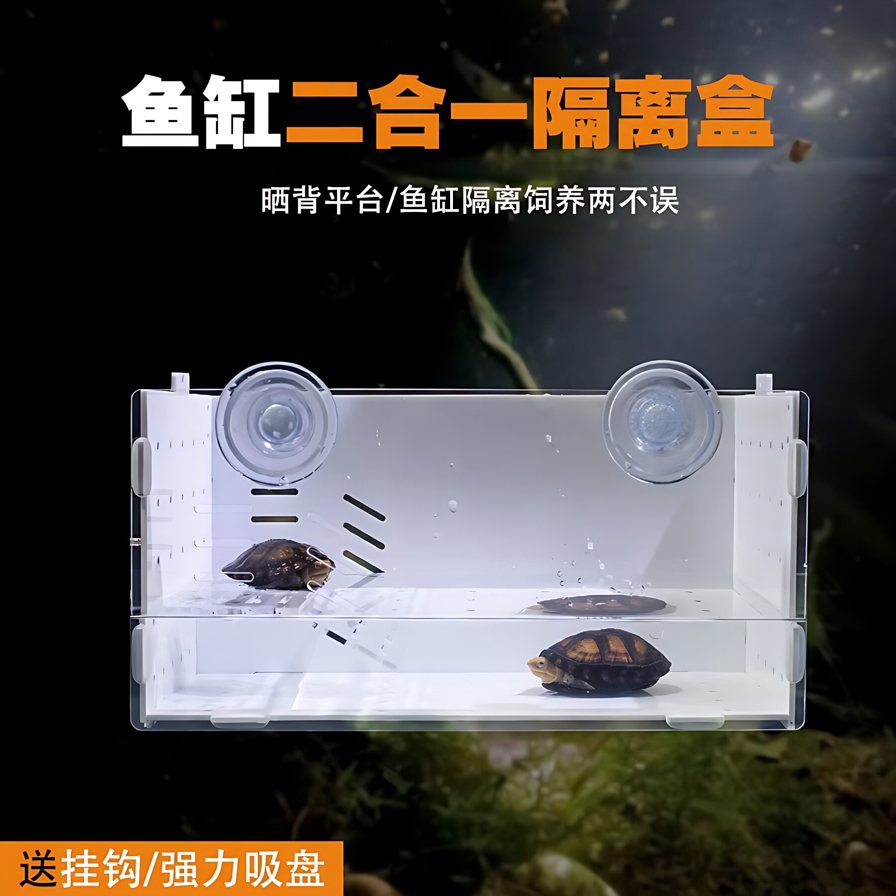 乌龟发色盒鱼缸内亚克力悬浮晒台隔离盒吸盘孵化器白色透明红面蛋