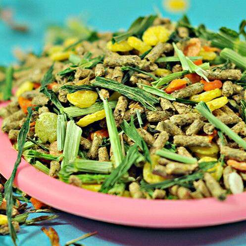 宠物混合兔粮幼兔成兔爱吃全阶段可用除臭抗球虫兔饲料袋装包邮