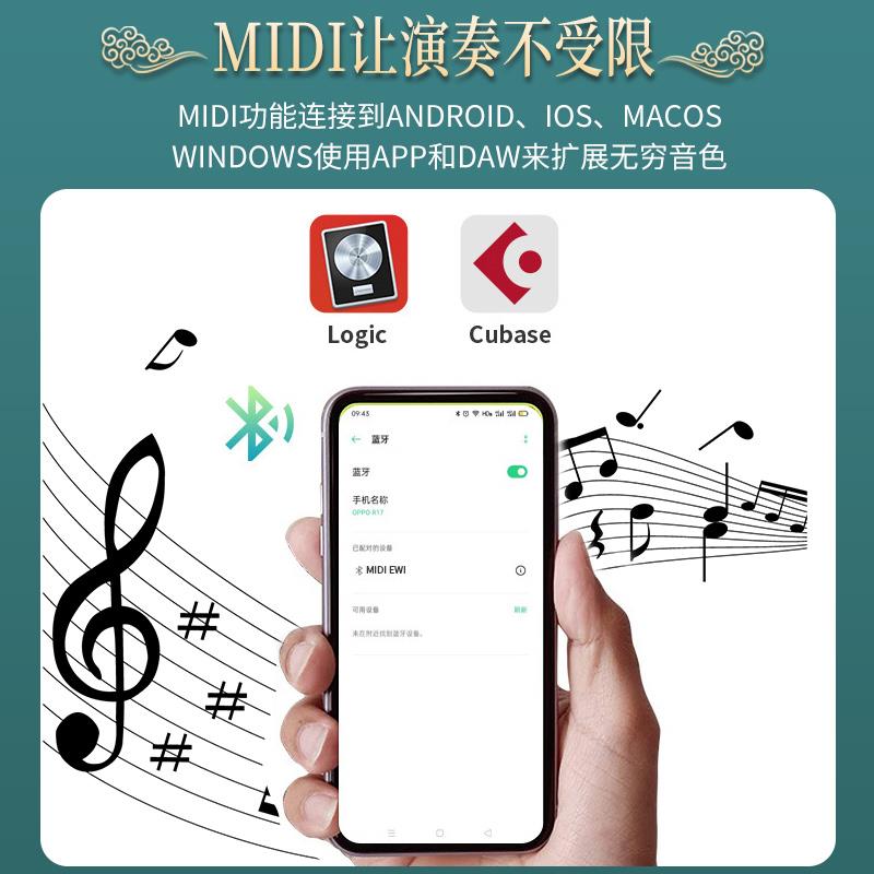 电子笛电吹管乐器萨克斯笛子葫芦丝唢呐初学者乐器大全吹奏类乐器