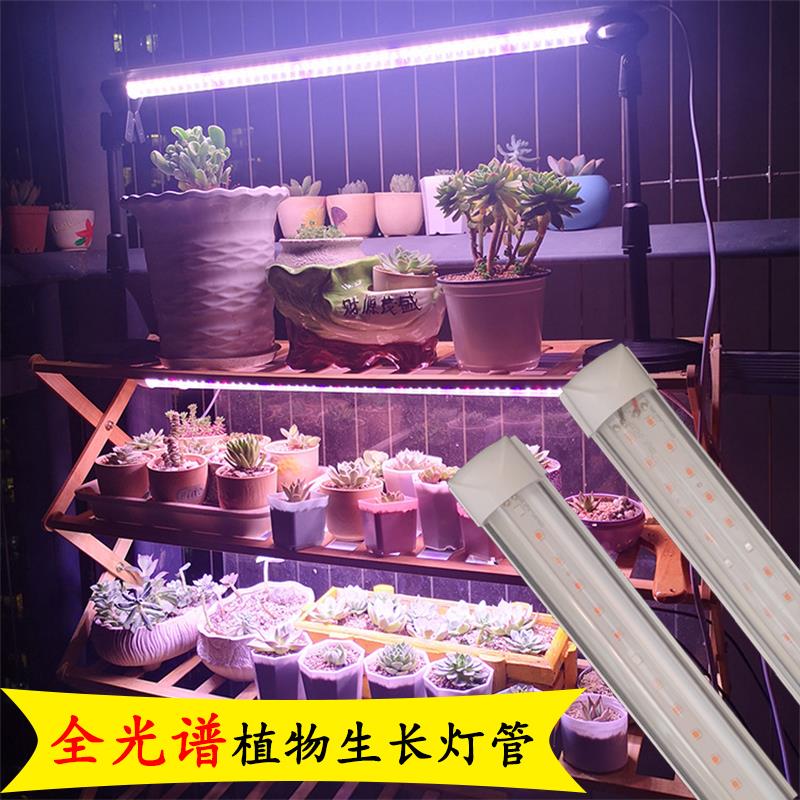 全光谱植物生长灯管220V高效室内LED多肉补光灯上色灯条仿日光灯