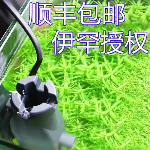 伊罕除油膜器EHEIM鱼缸水面油污清除智能过滤器油膜处理器skim350