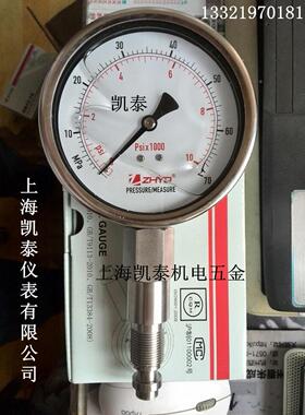 ZHYQ卫生型隔膜压力表 PT124Y-620-200MPA-M20-33mm/82mm上海朝辉