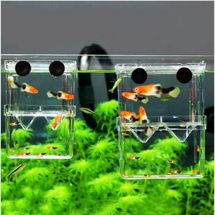鱼缸孵化盒分离网新生鱼苗小鱼隔离盒孔雀鱼繁殖盒鱼产卵孵化盒鱼